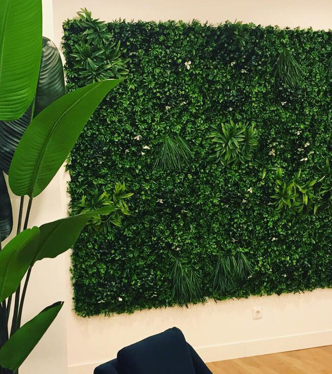 ¿Por qué deberías tener un jardín vertical en tu oficina?